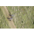 Team 52 / Jour 4 - VTT