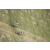 Team 52 / Jour 4 - VTT
