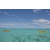 Team 52 / Jour 5 - Canoe