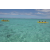 Team 70 / Jour 5 - Canoe