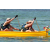 Team 46 / Jour 5 - Canoe