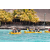 Team 24 / Jour 5 - Canoe
