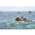 Team 50 / Jour 5 - Canoe