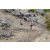 Team 17 / Jour 6 - Trek