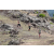Team 02 / Jour 6 - Trek