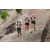 Team 24 / Jour 6 - Trek