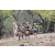 Team 63 / Jour 6 - Trek