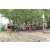 Team 42 / Jour 6 - Trek