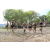 Team 42 / Jour 6 - Trek