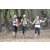 Team 56 / Jour 6 - Trek