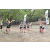 Team 36 / Jour 6 - Trek