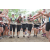 Team 20 / Jour 6 - Trek