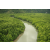 Raid Amazones 2013 - Archipel de Langkawi