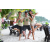 Team 53 / 