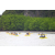 J1 - Epreuve Canoe Langkawi