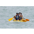Team 44 / J1 - Epreuve Canoe Langkawi
