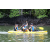 Team 71 / J1 - Epreuve Canoe Langkawi