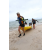 Team 78 / J1 - Epreuve Canoe Langkawi