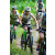 Team 64 / J2 - Epreuve VTT Langkawi