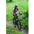 Team 78 / J2 - Epreuve VTT Langkawi