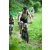 Team 04 / J2 - Epreuve VTT Langkawi