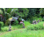 J2 - Epreuve VTT Langkawi