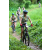 Team 40 / J2 - Epreuve VTT Langkawi