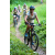 Team 40 / J2 - Epreuve VTT Langkawi