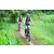 Team 17 / J2 - Epreuve VTT Langkawi