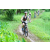 Team 48 / J2 - Epreuve VTT Langkawi
