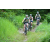 Team 32 / J2 - Epreuve VTT Langkawi