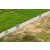 J2 - Epreuve VTT Langkawi