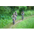 Team 03 / J2 - Epreuve VTT Langkawi