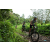 Team 16 / J2 - Epreuve VTT Langkawi