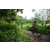 Team 38 / J2 - Epreuve VTT Langkawi