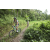 Team 13 / J2 - Epreuve VTT Langkawi