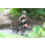 Team 55 / J2 - Epreuve VTT Langkawi