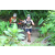 Team 12 / J2 - Epreuve VTT Langkawi