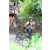 Team 77 / J2 - Epreuve VTT Langkawi