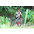 Team 67 / J2 - Epreuve VTT Langkawi