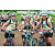 Team 71 / J2 - Epreuve VTT Langkawi