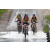 Team 34 / J2 - Epreuve VTT Langkawi