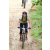 Team 81 / J2 - Epreuve VTT Langkawi
