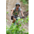 Team 41 / J2 - Epreuve VTT Langkawi