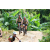 Team 43 / J2 - Epreuve VTT Langkawi