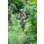 Team 78 / J2 - Epreuve VTT Langkawi