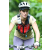 Team 68 / J2 - Epreuve VTT Langkawi