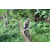 Team 22 / J2 - Epreuve VTT Langkawi