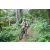 Team 30 / J2 - Epreuve VTT Langkawi