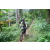 Team 19 / J2 - Epreuve VTT Langkawi